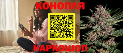 сатива Апрелевка