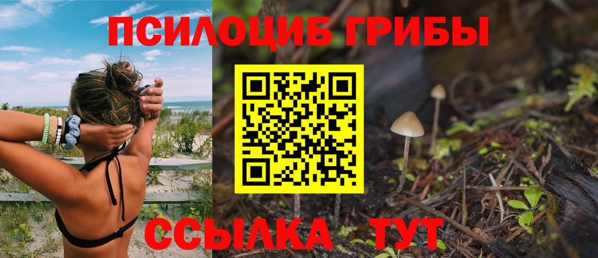 Галлюциногенные грибы мухоморы Верхний Уфалей