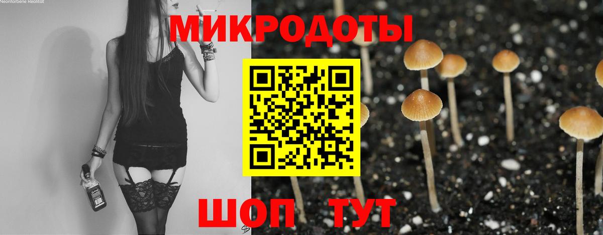 Галлюциногенные грибы Psilocybe  Галлюциногенные грибы GOLDEN TEACHER  Вход с VPN  купить наркоту  Верхний Уфалей 